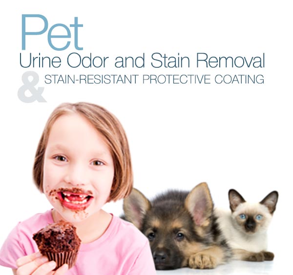 Stain Protector Treatment