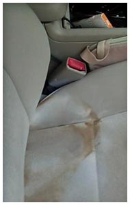 car upholstery cleaning