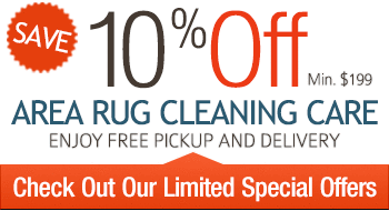 10% off on area rug cleaning