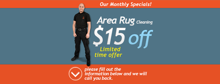 Monthly special on area rug cleaning