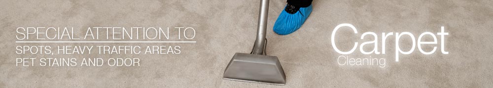 Carpet Steam Cleaning