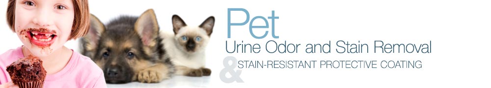 Pet Stain & Odor Removal