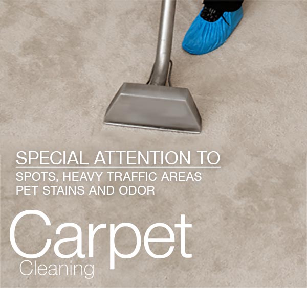 Carpet Steam Cleaning