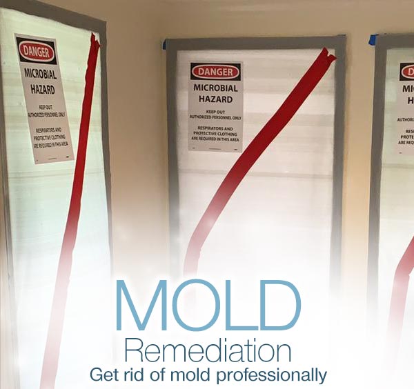 Mold Remediation