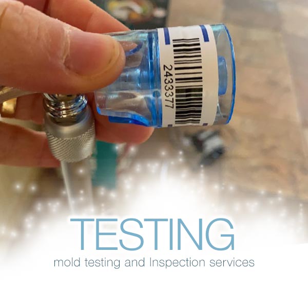 Mold Testing